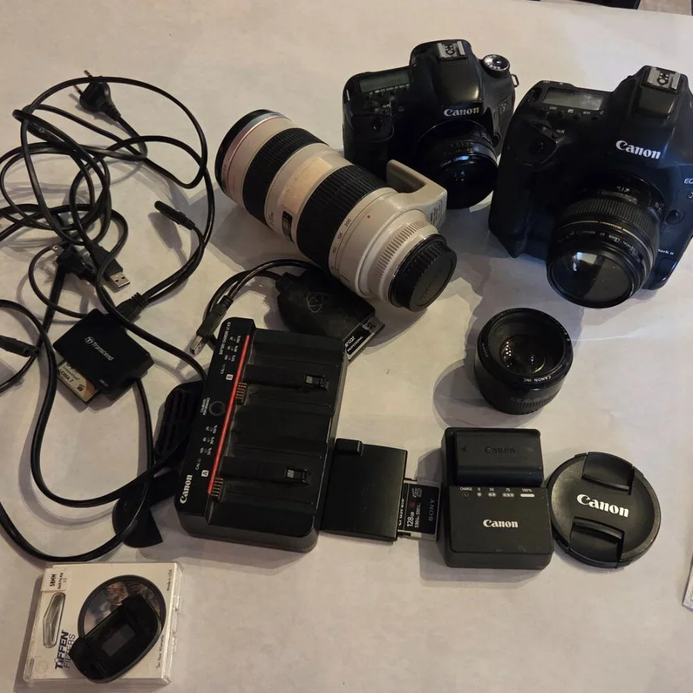 Canon - Picture 4 of 16